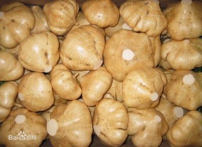 ​洋芋是什么东西什么地方叫洋芋（你是地瓜还是山芋，是土豆还是洋芋）