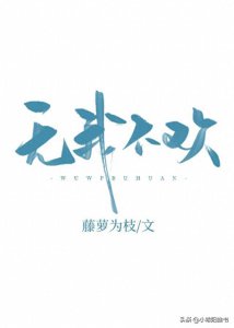 ​三本现言甜文 男主高冷偏执 前期女追男《无我不欢》《他如风掠境》