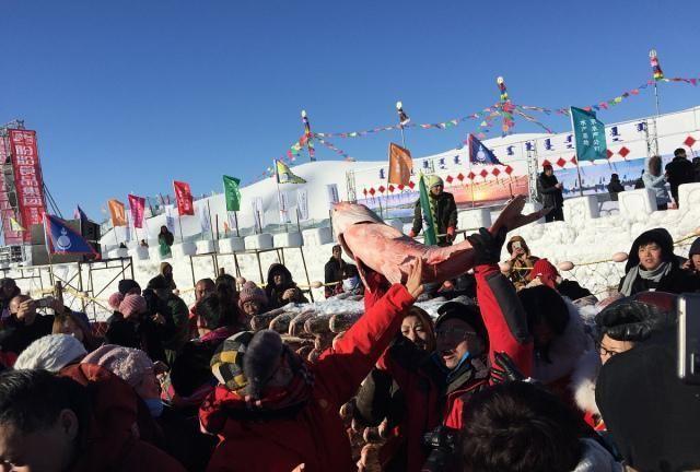 一条胖头鱼到了查干湖，身价飙涨1.5万倍！拍出近300万的天价