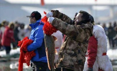 ​一条胖头鱼到了查干湖，身价飙涨1.5万倍！拍出近300万的天价