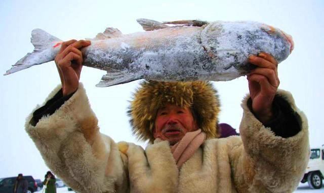 一条胖头鱼到了查干湖，身价飙涨1.5万倍！拍出近300万的天价