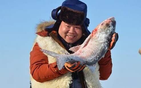 一条胖头鱼到了查干湖，身价飙涨1.5万倍！拍出近300万的天价