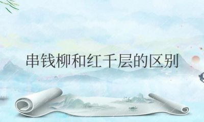 ​串钱柳和红千层的区别（红千层和串钱柳哪个花期更长）