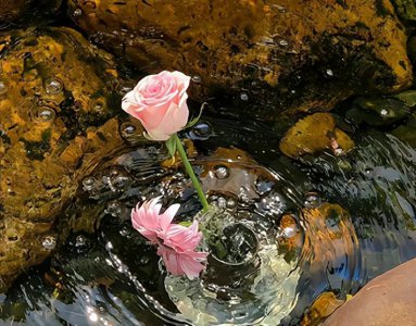 ​怎么哄对象高兴？快来学习生气时哄对象的服软小情话吧