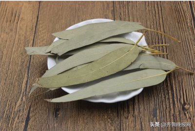 ​驱蟑螂最有效方法见效快（怎么除蟑螂最有效彻底！只用这几招蟑螂没了）