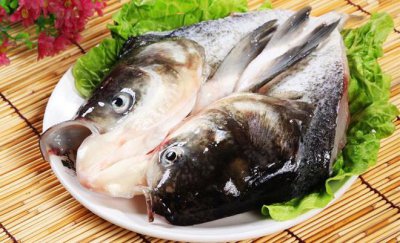 ​花鲢鱼多少钱一斤(花鲢鱼和白鲢鱼的区别)