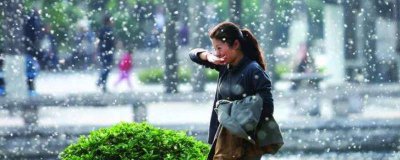 ​屋里柳絮怎么清理掉 屋子里柳絮怎么清理