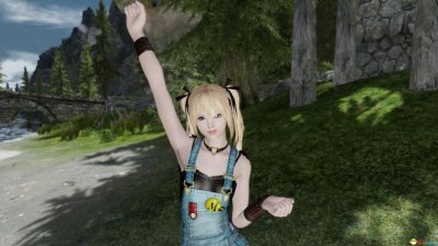 ​上古卷轴5随从管理mod怎么用（上古卷轴5随从mod怎么弄)