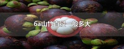 ​最大山竹是5A还是6A 山竹5-6a的标准