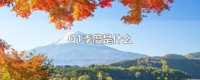 ​q1季度是什么 q1是季度嘛