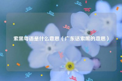 ​索黑粤语是什么意思（广东话索黑的意思）