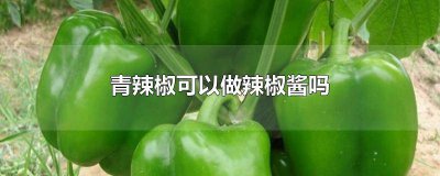 ​青椒能做辣椒酱吗 辣椒酱用青辣椒可以吗
