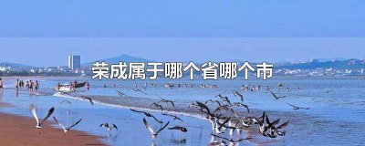 ​荣成属于哪个省哪个市管辖 荣成属于哪个省哪个市管理