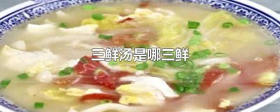 ​三鲜粥是哪三鲜粥 三鲜粥的功效