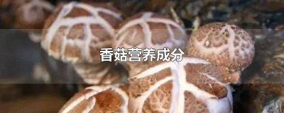 ​香菇营养成分表 百度百科图片 香菇的营养成分表