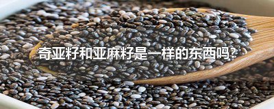 ​亚麻籽和奇亚籽是一种吗 奇亚籽跟亚麻籽有什么区别