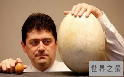 ​世界上最大的鸡蛋，斩获吉尼斯世界纪录大奖！