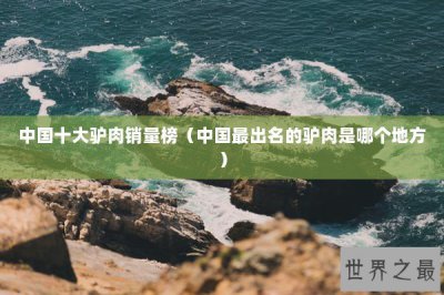 ​中国十大驴肉销量榜（中国最出名的驴肉是哪个地方）