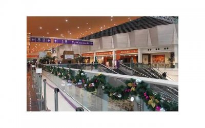 ​老婆生病期间老婆出轨，老婆生病期间，老婆出轨了？