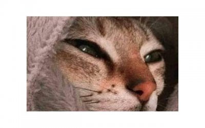 ​怎样挽回心寒的老婆，如何挽回心寒的老婆？