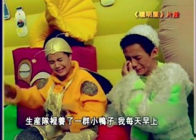 ​毛毛虫和金龟子再度同框，满满的回忆！