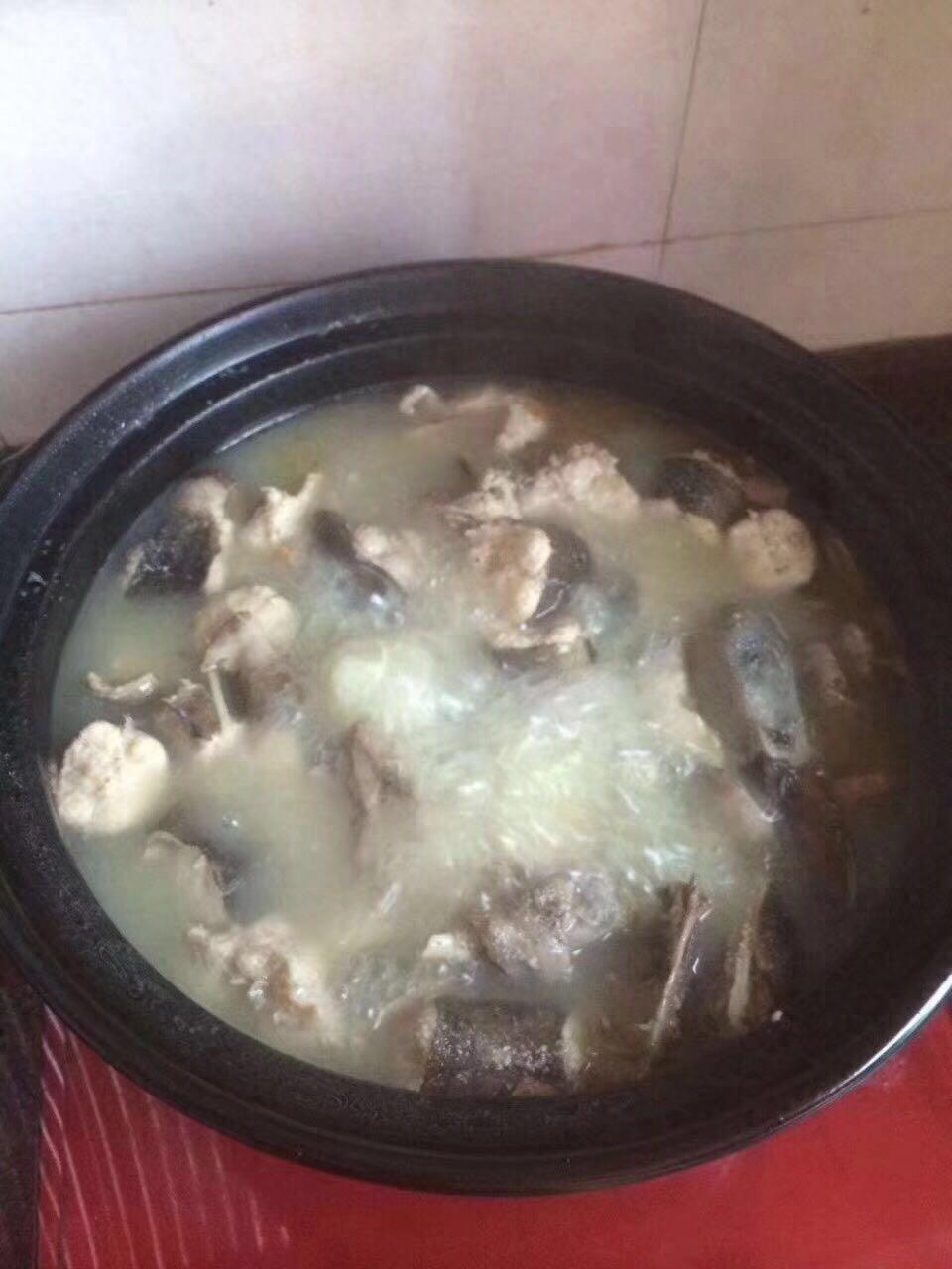 土龙，人间“精品”