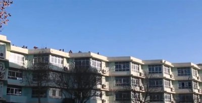 ​毛坦厂中学为何能被称为高考工厂