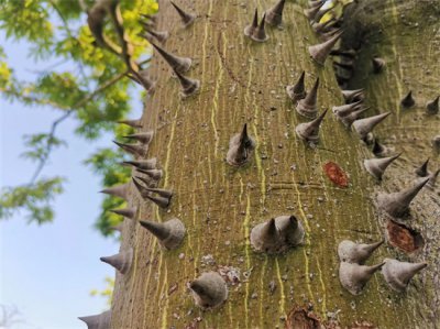 ​“笑面虎”类型人的本质