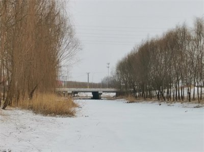 ​沉得住气才是女人顶级的魅力