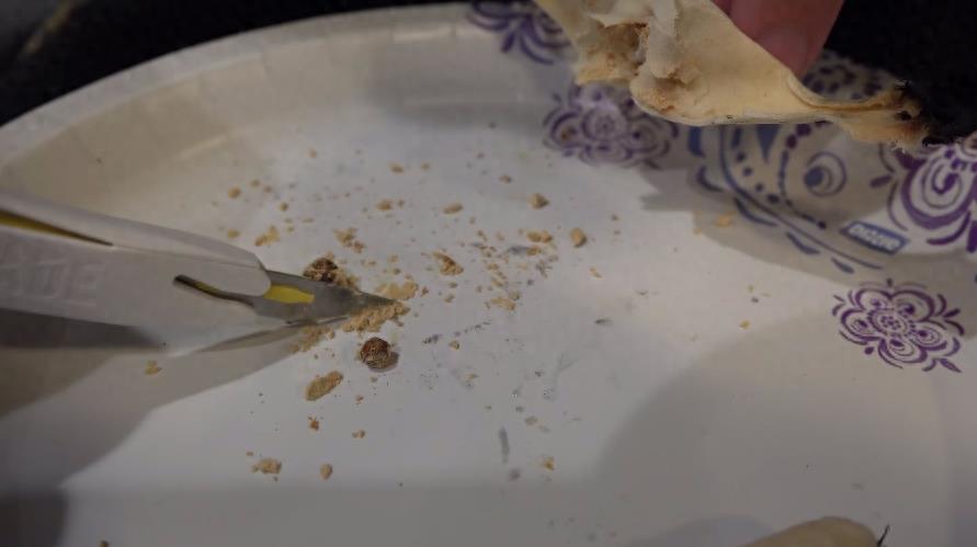 网友尝试用耳烛吸出耳垢，拆开耳烛验证其功效