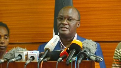 ​沉重的数字！肯尼亚交通部长通报埃航失事客机罹难人员国籍名单