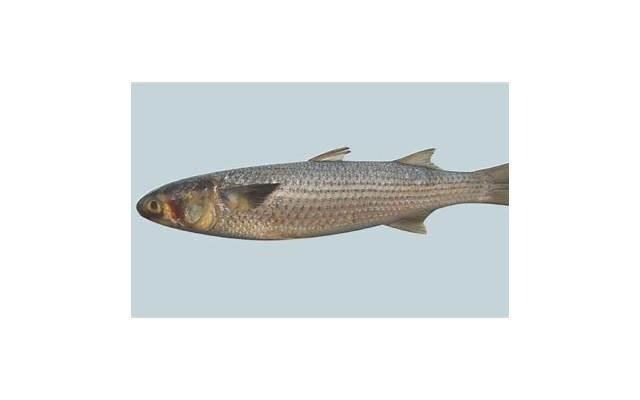 夫妻感情不和分居 夫妻感情不和怎么解决 夫妻感情不和分居 夫妻感情不和怎么解决