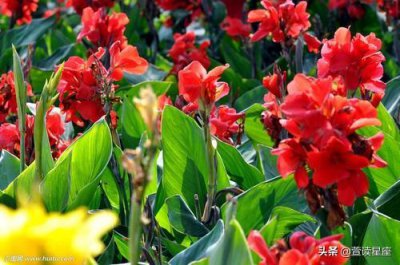 ​这3类人生来带财，命中自带富贵，一生多财多福，长寿安康