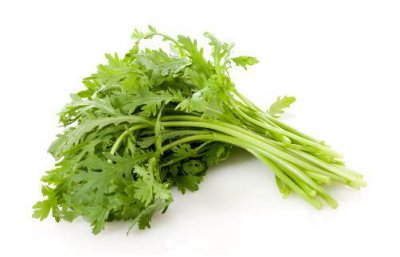 ​皇帝菜是什么样子 皇帝菜又叫什么菜