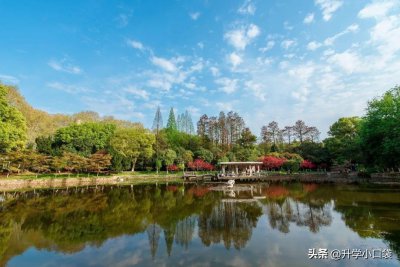 ​湖北25所高校最新排名，华中科技大学第八，武汉大学第九