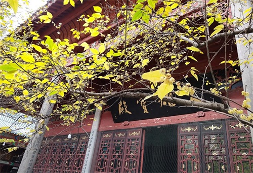 长沙香火最旺盛的寺庙之一，三湘名刹开福寺