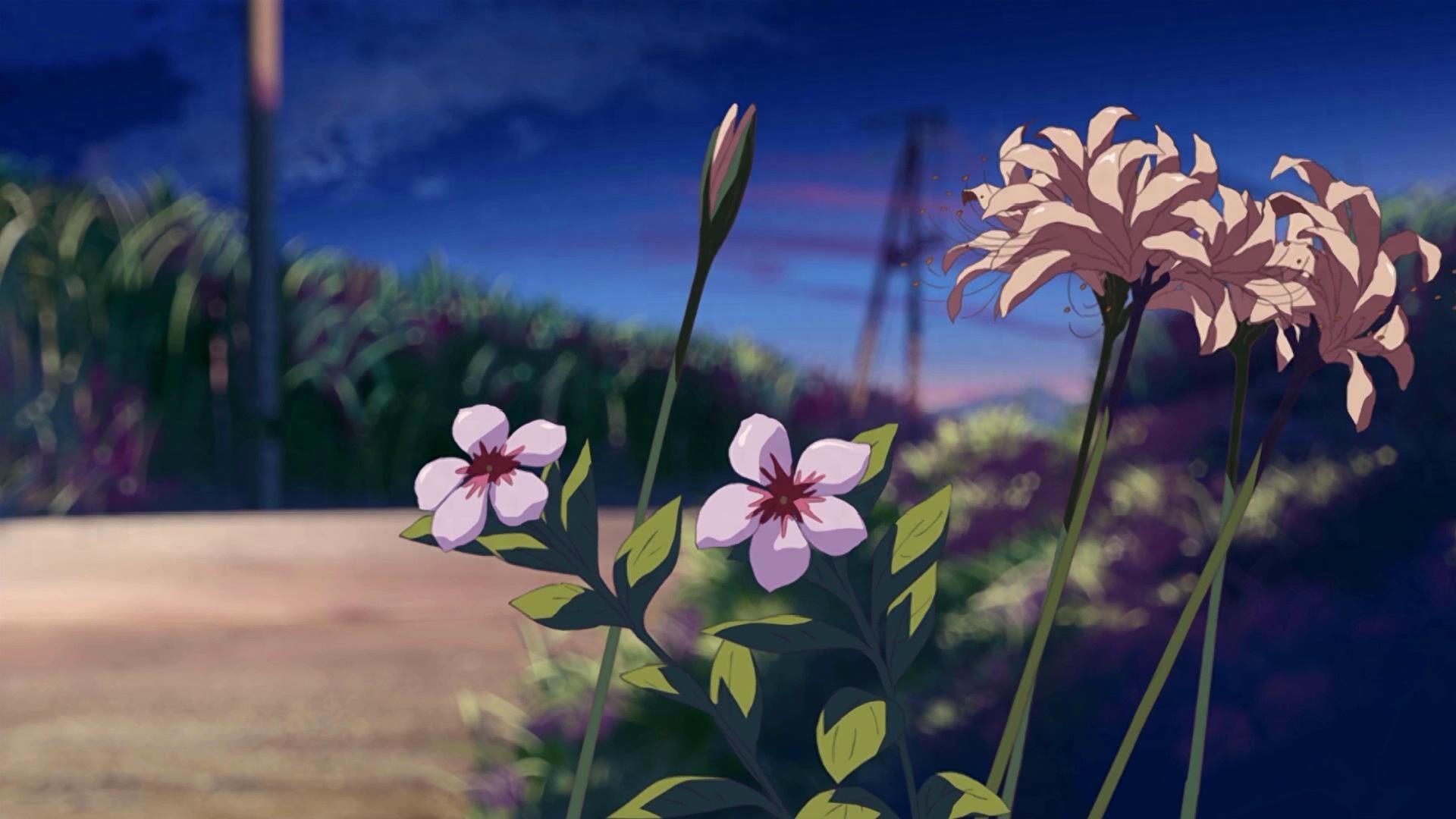 写实动漫《秒速五厘米》珍藏级无水印剧照合集3.0