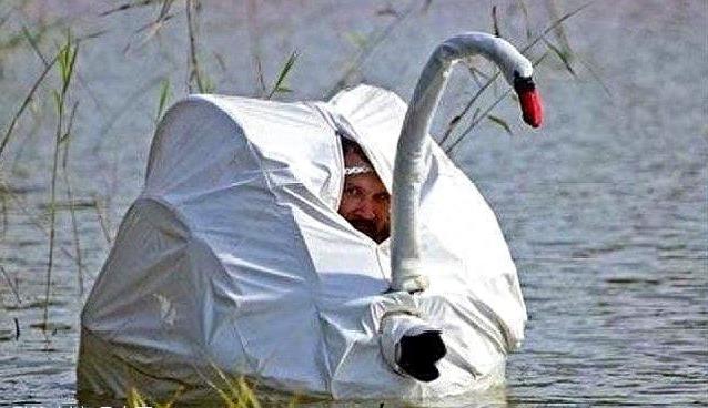 8张看起来很“荒唐”的图片，图6的老虎心情是忐忑不安