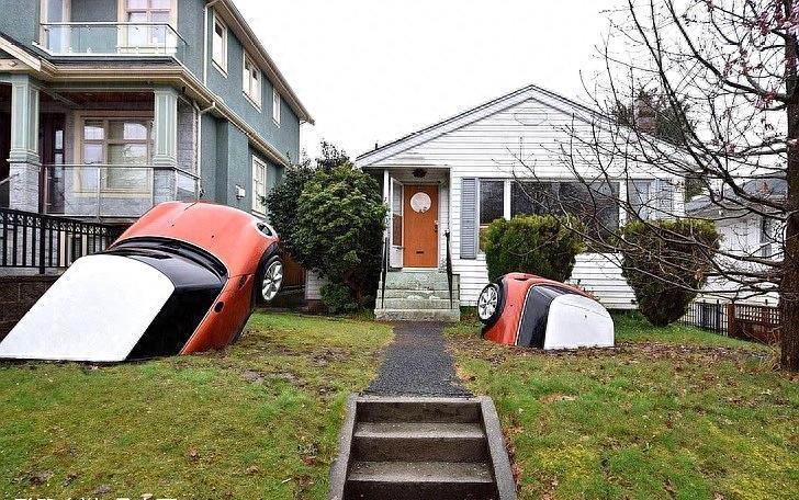 8张看起来很“荒唐”的图片，图6的老虎心情是忐忑不安