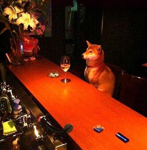 8张看起来很“荒唐”的图片，图6的老虎心情是忐忑不安