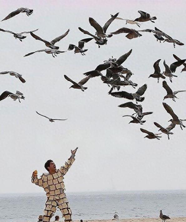 8张看起来很“荒唐”的图片，图6的老虎心情是忐忑不安