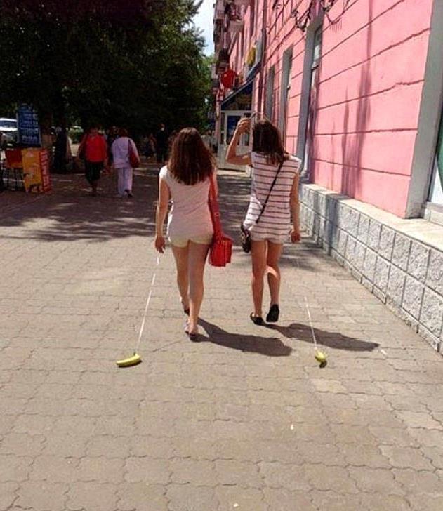 8张看起来很“荒唐”的图片，图6的老虎心情是忐忑不安