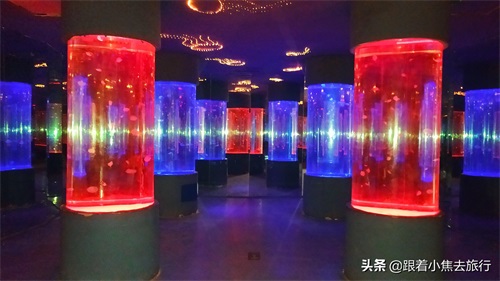 洛阳中赫海豚湾海洋公园游玩攻略