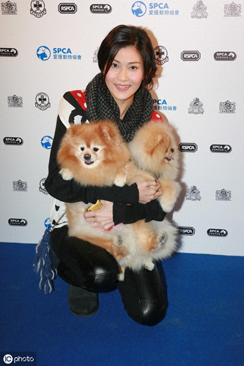 李彩桦个人相册
