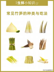 ​常见竹笋的种类与吃法