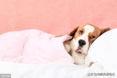 ​Out of shape是“变形”的意思吗？