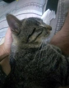 ​中国哪里的姑娘最漂亮?脑筋急转弯