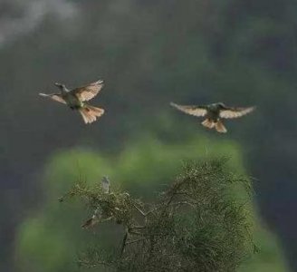 ​为什么恩爱的夫妻不到头(为什么恩爱夫妻不到头什么意思)