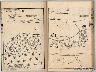 ​《天工开物》插图大赏