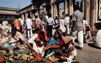 ​印度“牛粪饼”一盒205元，经常卖到脱销，究竟有什么用处？